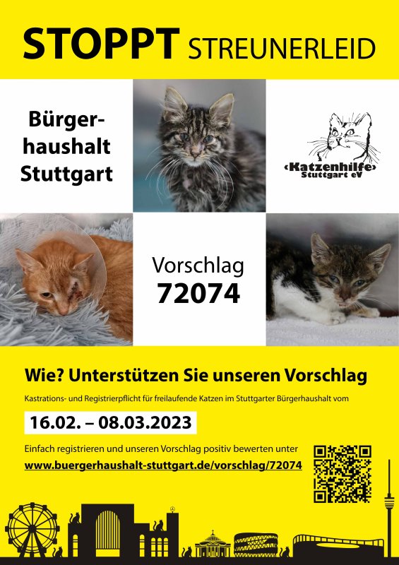 230215 Plakat Buergerhaushalt V1